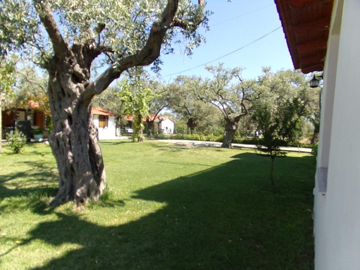Villa Karapataki Skala Rachoni  客房 照片